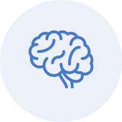 brain