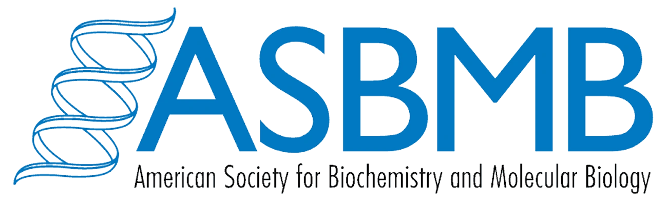 logo eight